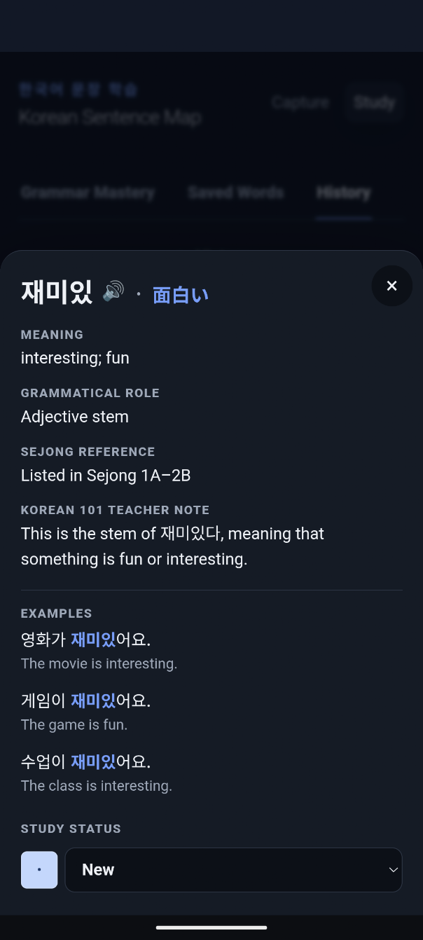 Sentence Map detail panel showing the Korean word 재미있다 with its Japanese equivalent 面白い beside it in the header, followed by meaning, grammatical role, Sejong reference, examples, and Study status